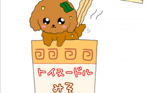 カップトイプードル味噌 - おだんご 