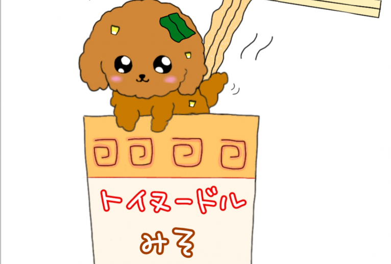 カップトイプードル味噌 - おだんご 