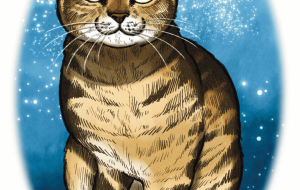 煌めいて - Yukari 