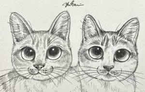 みかんと琥珀 - Yukari 