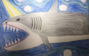 ホオジロザメの全速力 - 住田ヒロンパ 