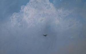 ゆりちゃんと僕の旅（川島ゆりさんと生きてく） - 真鍋哲地 