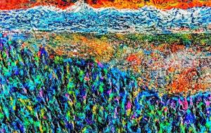 長野県花鈴濃 - 久保田　俊 