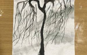 初夏の風を孕む柳 - 一ノ瀬ゆき 