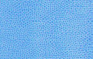 水色フレア　水色パルス - ヤマモト　シンイチロウ 