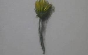 春の日、日常 - 真鍋哲地 