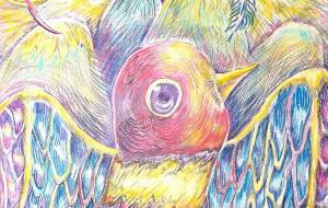 虹の鳥 - ミケネコ 