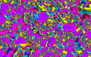 不自由な心 - Yukihiro Sato 