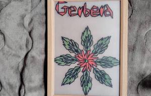 Garbera - 清家秀規 