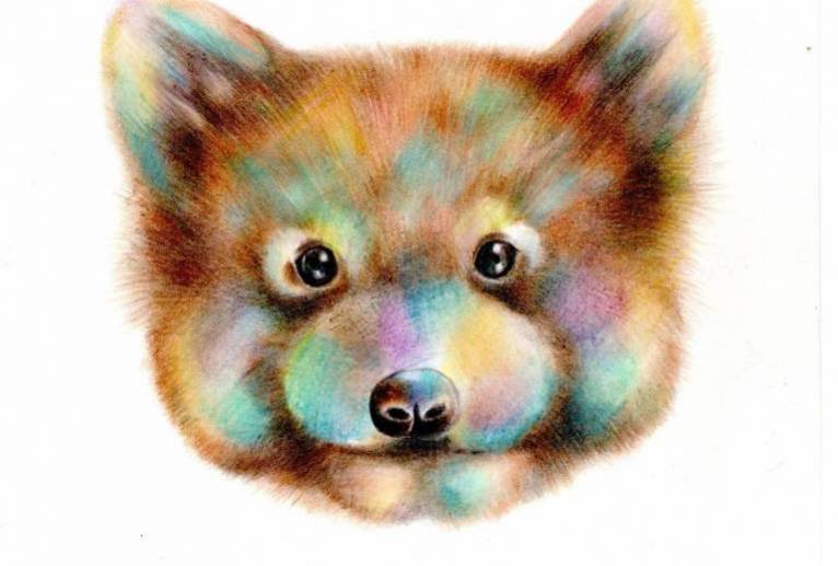 レッサーパンダ - 田寺　誠人 