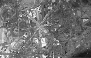 激突どんじ　モノクロ - ヤマモト　シンイチロウ 