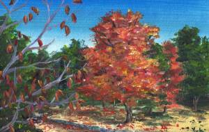 木の葉、燃ゆる - 工房はんど　Yuki 