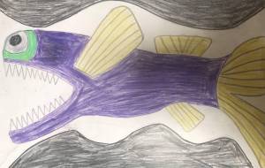 凝視するボウエンギョ - 住田ヒロンパ 