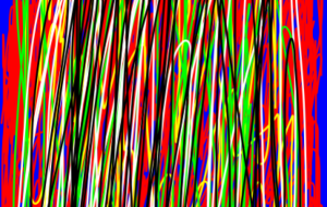 カラー - 笹谷正博 