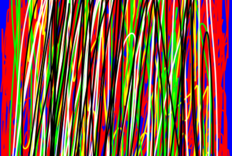 カラー - 笹谷正博 