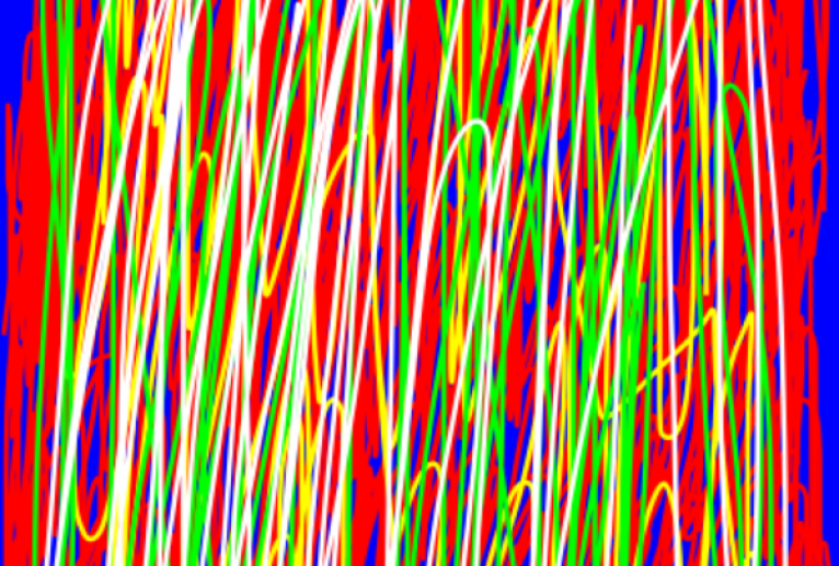 カラー - 笹谷正博 