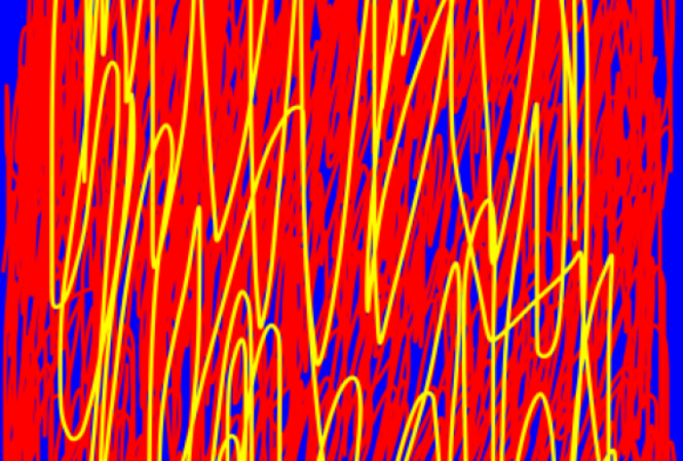 カラー - 笹谷正博 