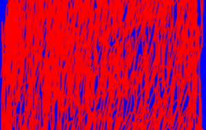 カラー - 笹谷正博 