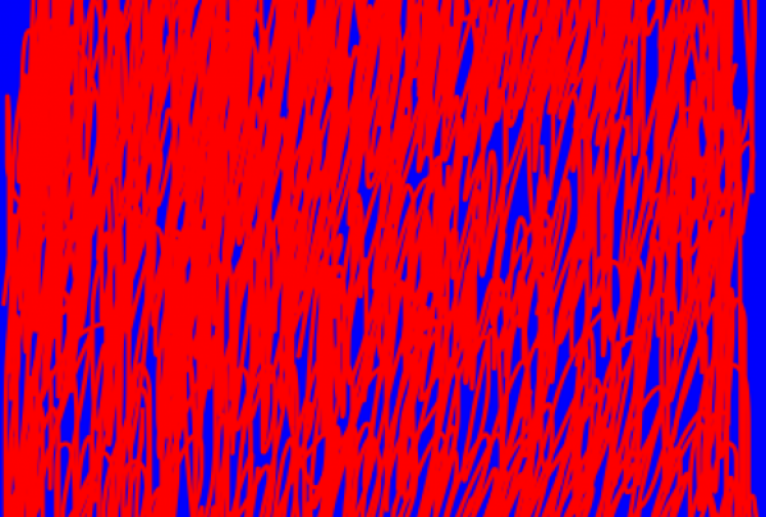 カラー - 笹谷正博 