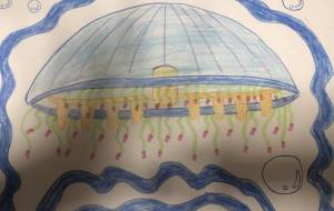 ハナガサクラゲ - 住田ヒロンパ 