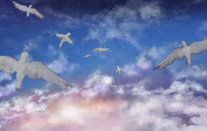 はばたき - wasabi 