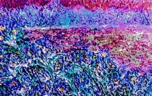 りんどう - 久保田　俊 