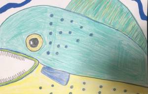 孤独なシイラ - 住田ヒロンパ