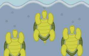 泳ぐ海亀 - アクター 