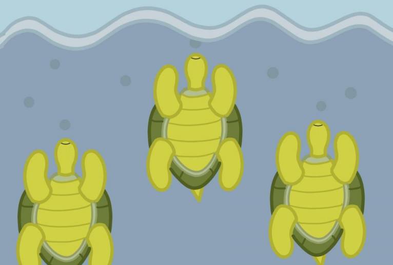 泳ぐ海亀 - アクター 