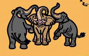 インドゾウとアフリカゾウ - シマハイエナ 