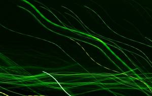 星屑の糸 - Yukihiro Sato 