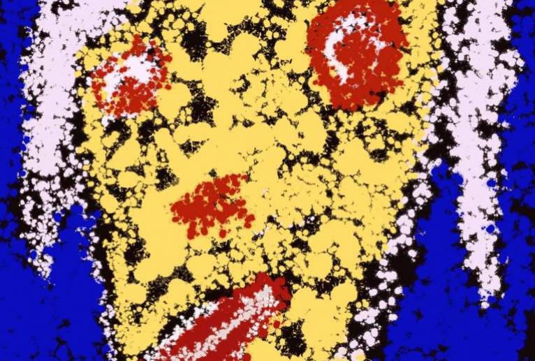 Clark 原版 - hakaalash 