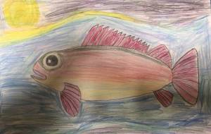 月光とアカメバル - 住田ヒロンパ 