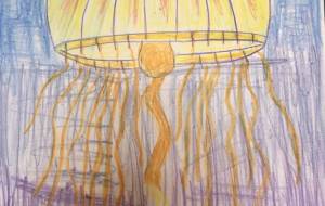 不安なアカクラゲ - 住田ヒロンパ 