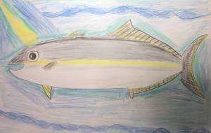 のんびりヒラマサ - 住田ヒロンパ 