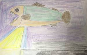 スポットライトフィッシュ - 住田ヒロンパ 