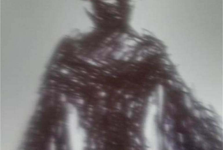 ブラックスワン
