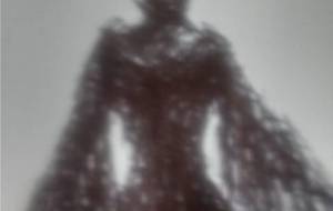 美しい湖にブラックスワン - 真鍋哲地 