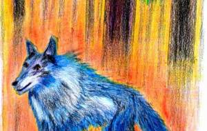 オオカミの住む森Ⅱ - 小雪0219 