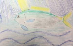 ご機嫌なユメウメイロ - 海牛ひろんぱ