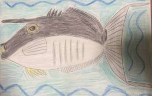 オニテングハギは怖くない - 住田ヒロンパ 