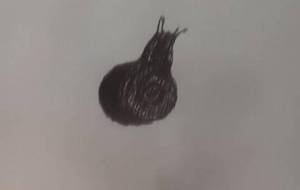 初夏梅雨、ひとりボッチのカタツムリ - 真鍋哲地 