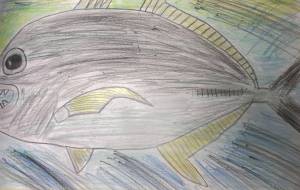 春のロウニンアジ - 住田ヒロンパ 