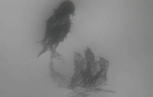 小鳥彼はカラスに攻撃されボロボロ、最後の力を振り絞り - 真鍋哲地 