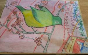 メジロと赤ちゃん - さら 