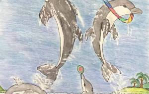 青空とイルカ - 三島礼子 