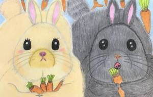 うさぎ - キティ 