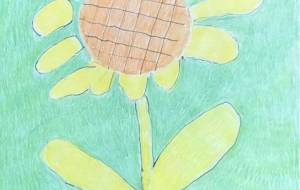 ひまわり - 田中多真美 