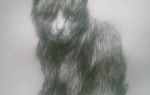 思ふ 猫 - 真鍋哲地 