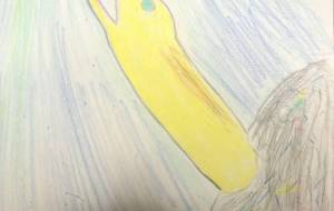 ぴかぴかリュウキュウウツボ - 住田ヒロンパ 